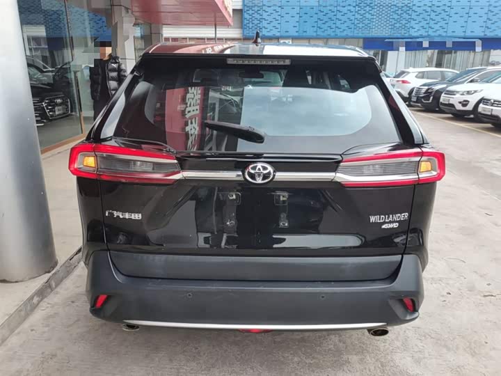 Фото 6 - Toyota Wildlander