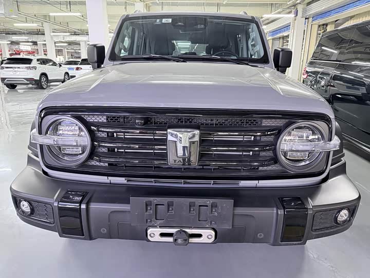 Фото 2 - Tank 300