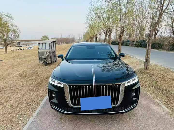 Фото 1 - Hongqi H9