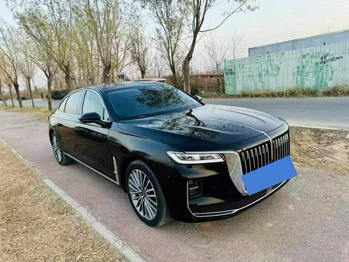 Фото 2 - Hongqi H9