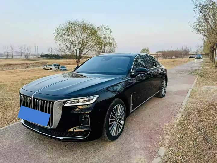 Фото 3 - Hongqi H9