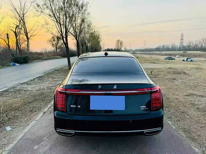 Фото 4 - Hongqi H9