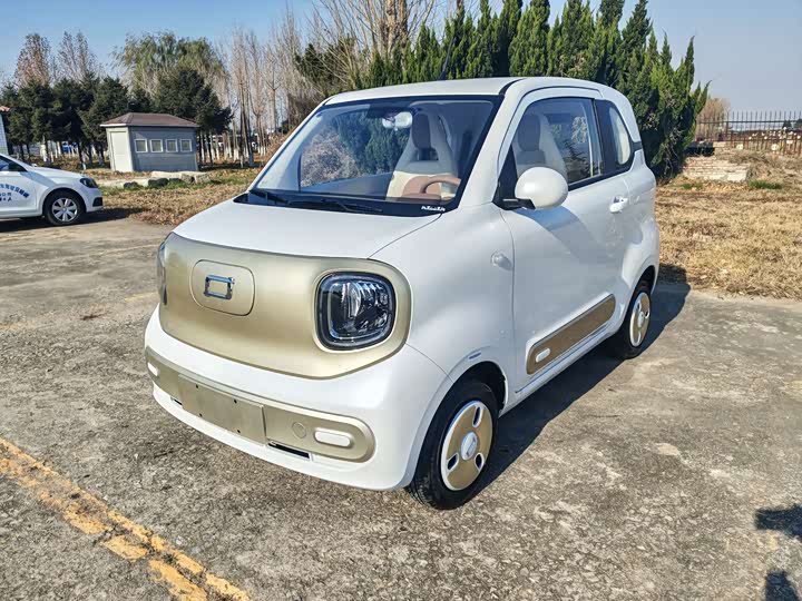 Фото 1 - Bestune Pony