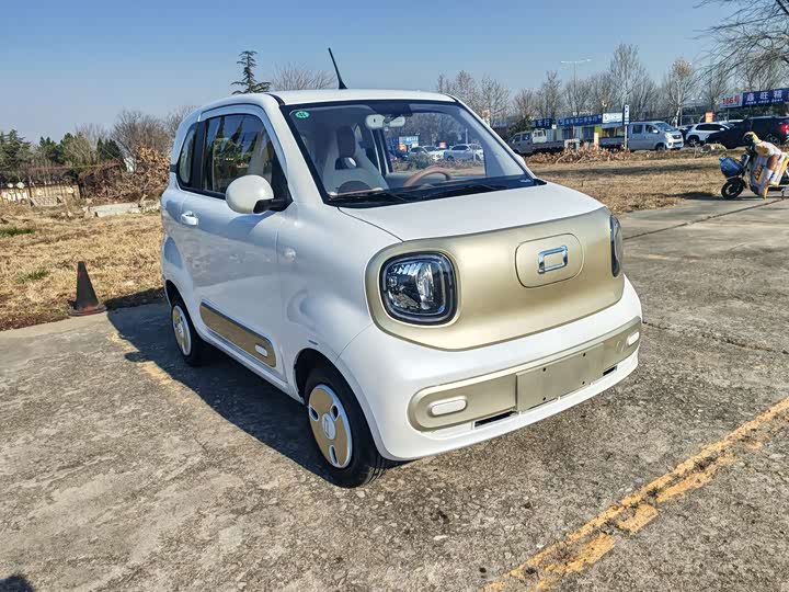 Фото 3 - Bestune Pony