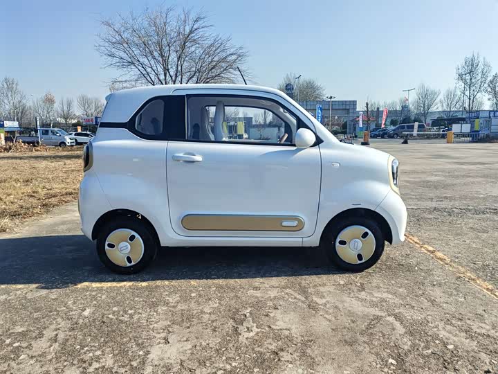 Фото 4 - Bestune Pony