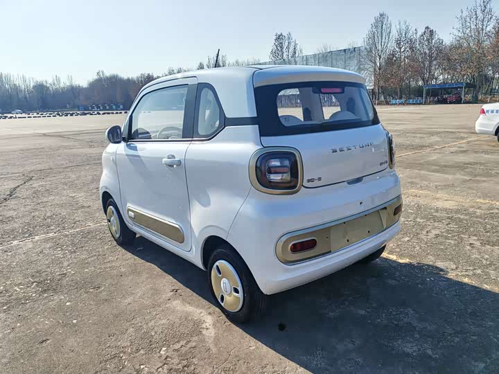 Фото 7 - Bestune Pony