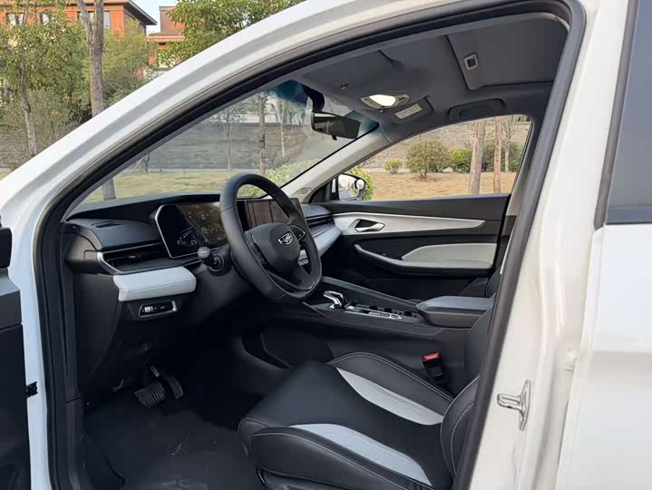 Фото 4 - Geely Binrui