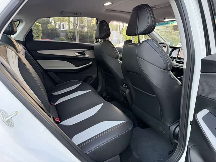 Фото 7 - Geely Binrui