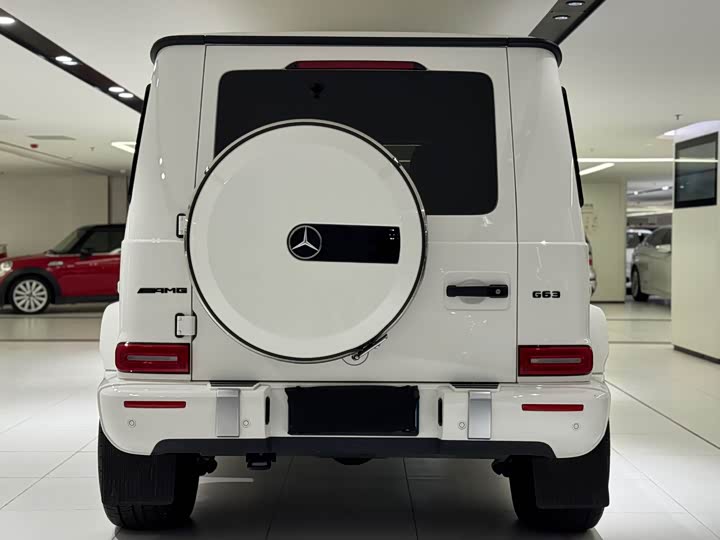 Фото 6 - Mercedes-Benz G-Class