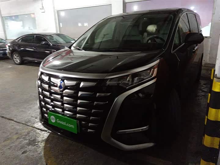 Фото 1 - Denza D9