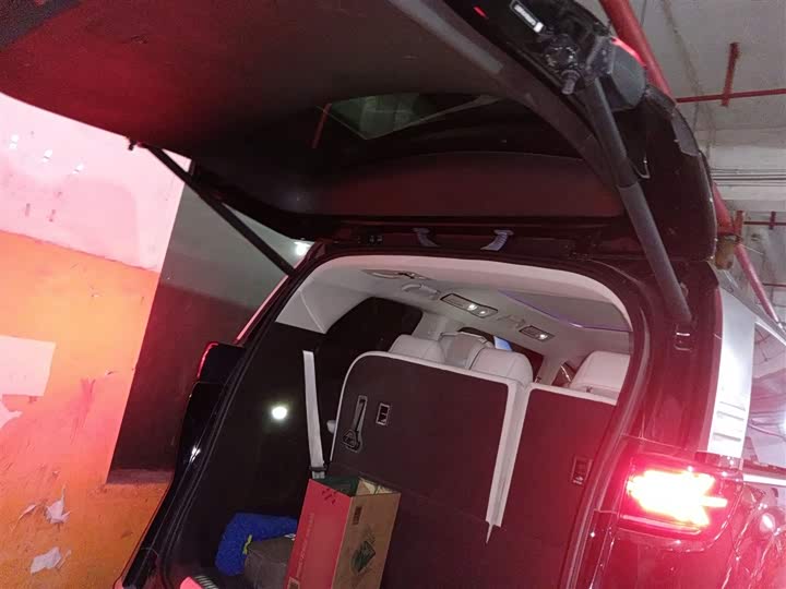 Фото 9 - Denza D9