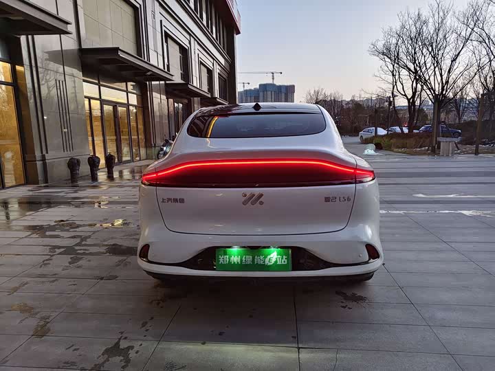 Фото 8 - IM motors LS6