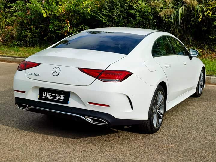 Фото 7 - Mercedes-Benz CLS-Class