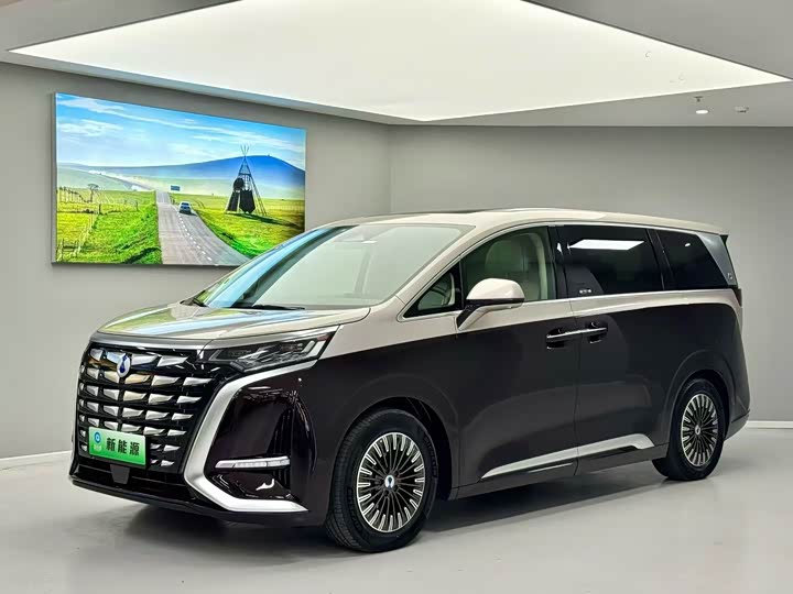 Фото 1 - Denza D9