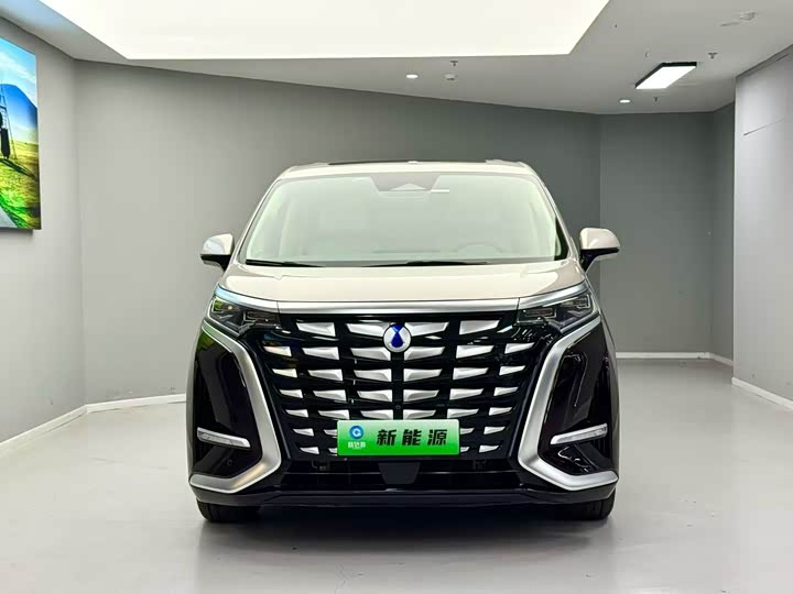 Фото 2 - Denza D9