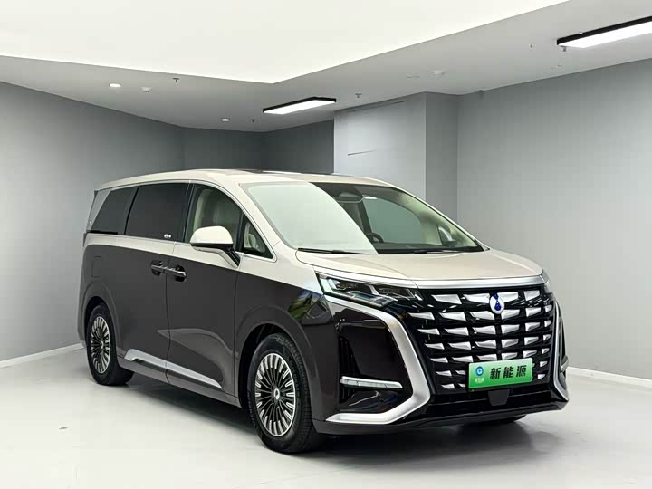 Фото 3 - Denza D9