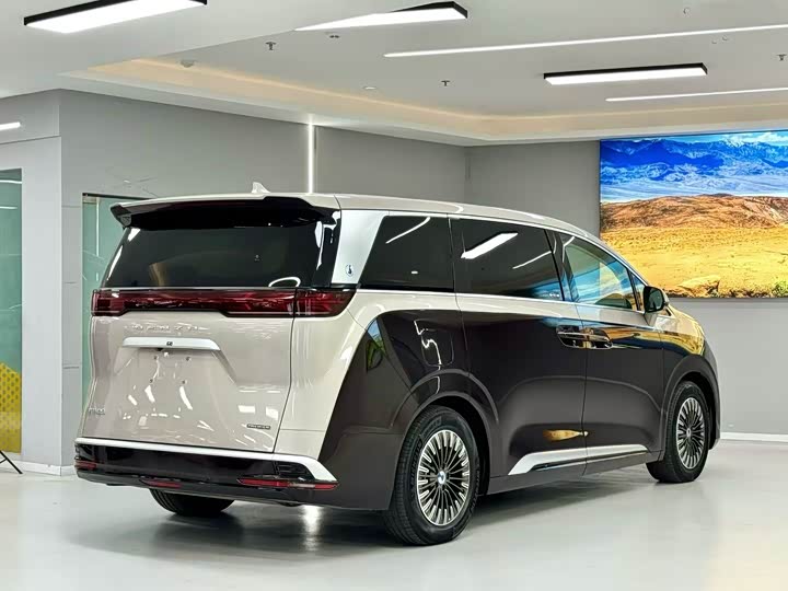 Фото 7 - Denza D9