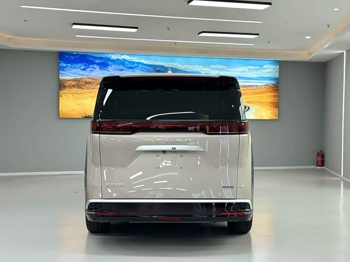 Фото 8 - Denza D9