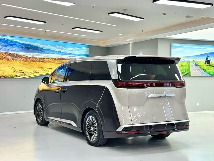 Фото 9 - Denza D9