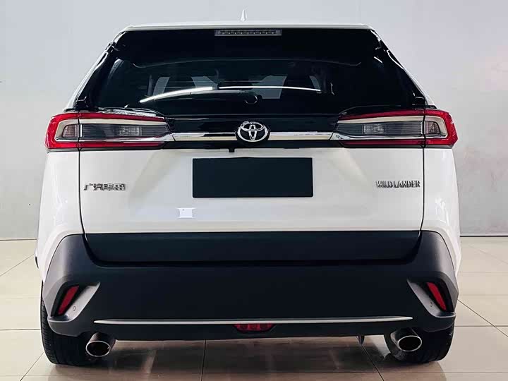 Фото 6 - Toyota Wildlander