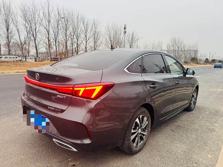 Фото 8 - Changan Eado Plus
