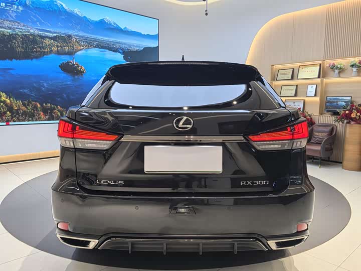 Фото 5 - Lexus RX