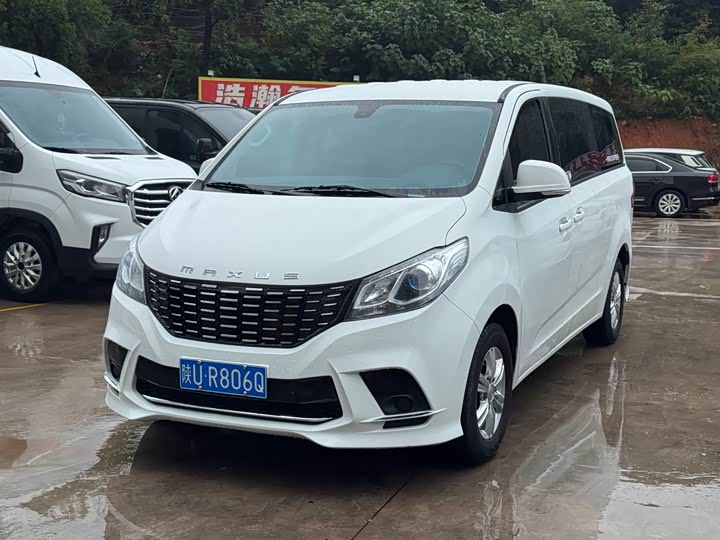 Фото 1 - Maxus G10