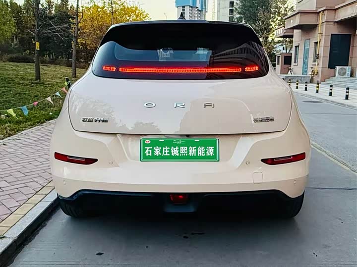 Фото 3 - Ora Good Cat (03)