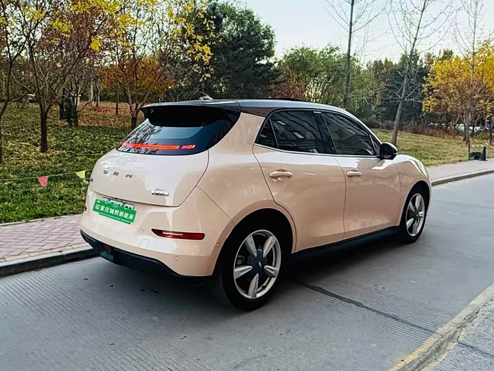 Фото 4 - Ora Good Cat (03)