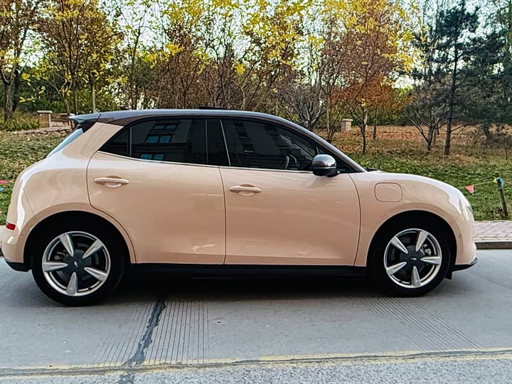 Фото 5 - Ora Good Cat (03)