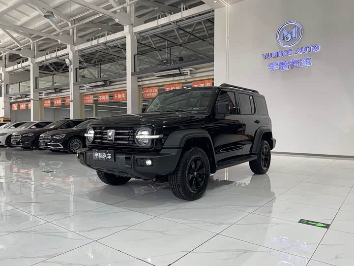 Фото 1 - Tank 300