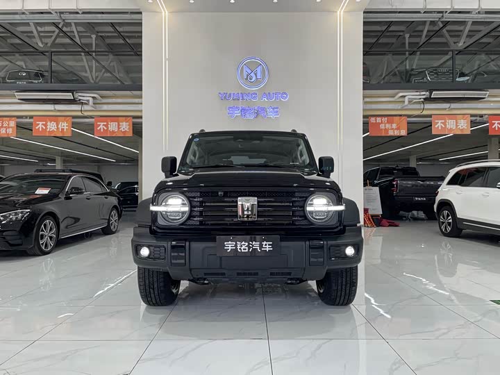 Фото 2 - Tank 300