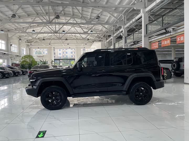 Фото 3 - Tank 300