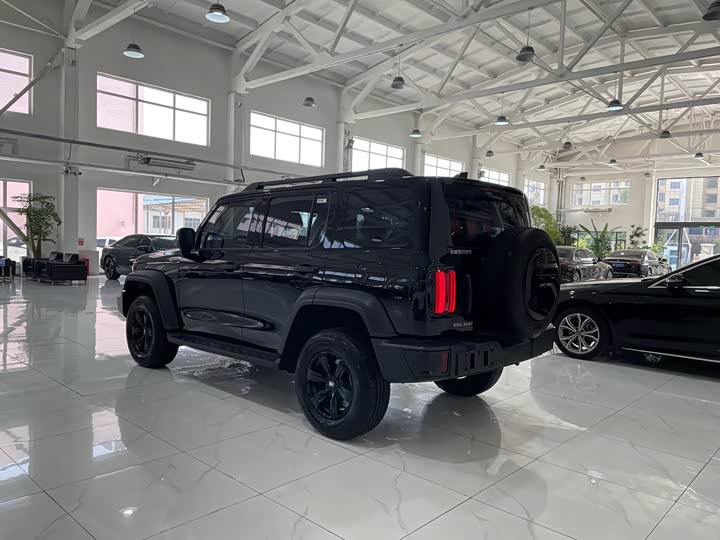 Фото 4 - Tank 300