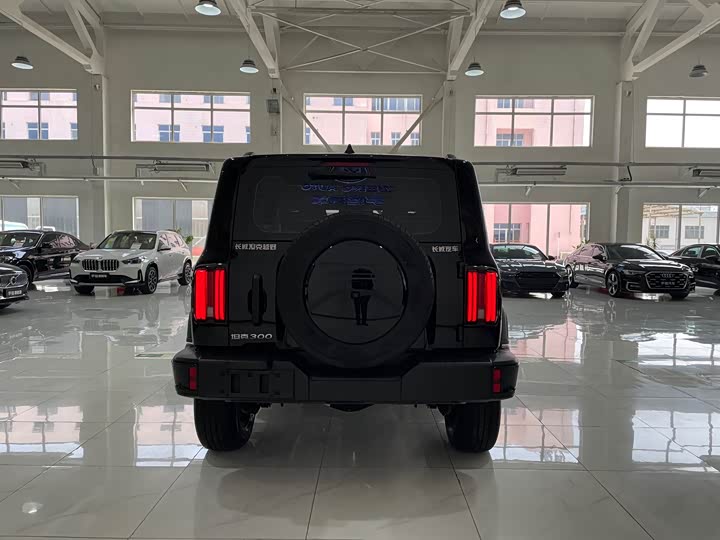 Фото 5 - Tank 300