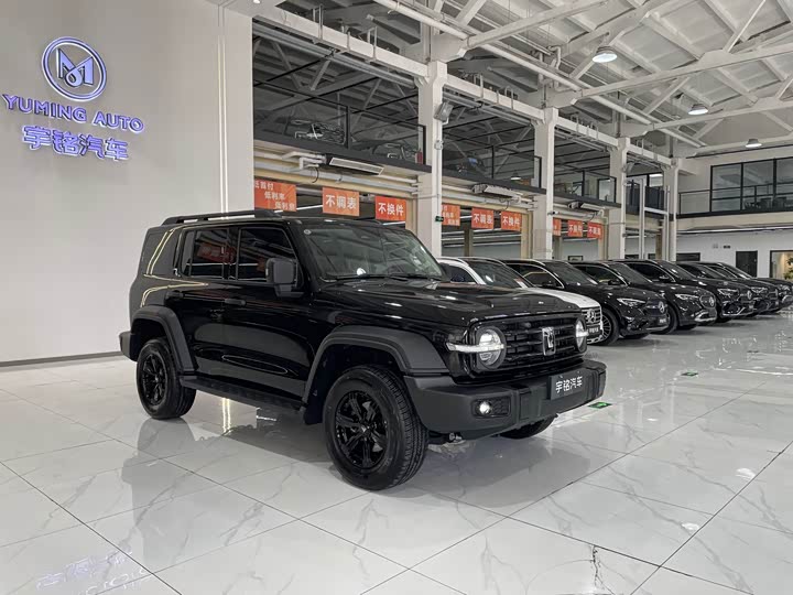 Фото 7 - Tank 300