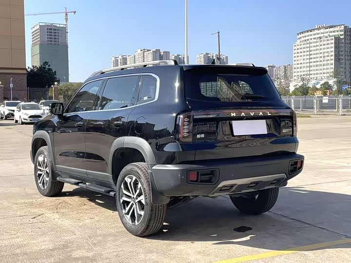 Фото 4 - Haval Dargo