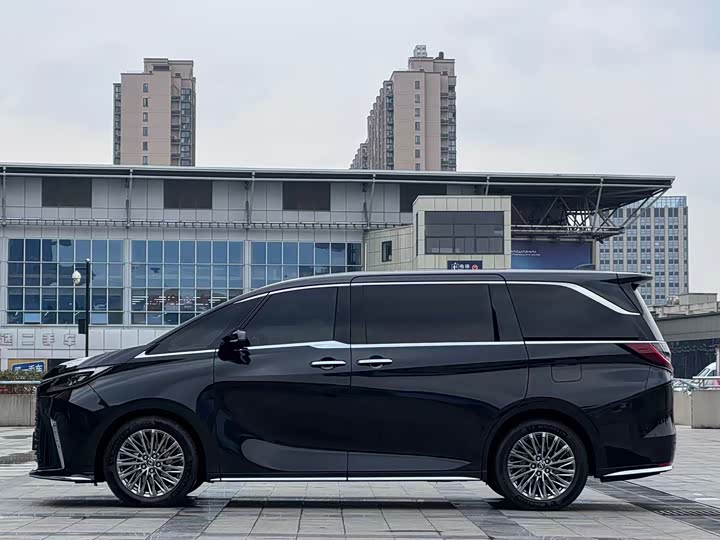 Фото 4 - Lexus LM