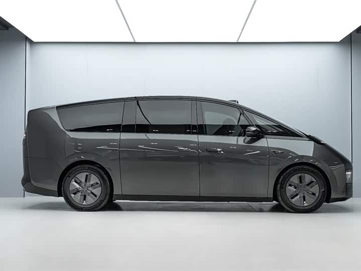 Фото 4 - LiXiang Mega