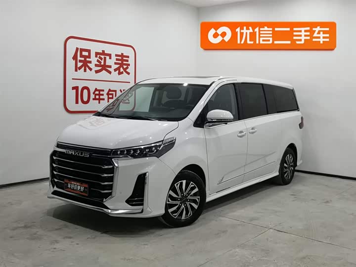 Фото 1 - Maxus G20