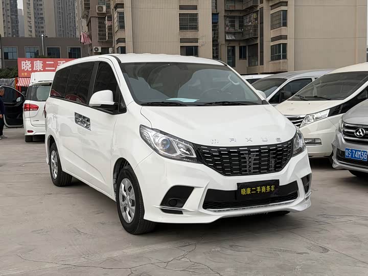 Фото 3 - Maxus G10