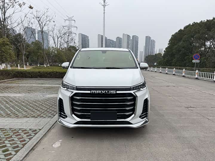 Фото 1 - Maxus G20