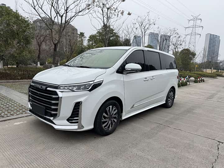 Фото 3 - Maxus G20