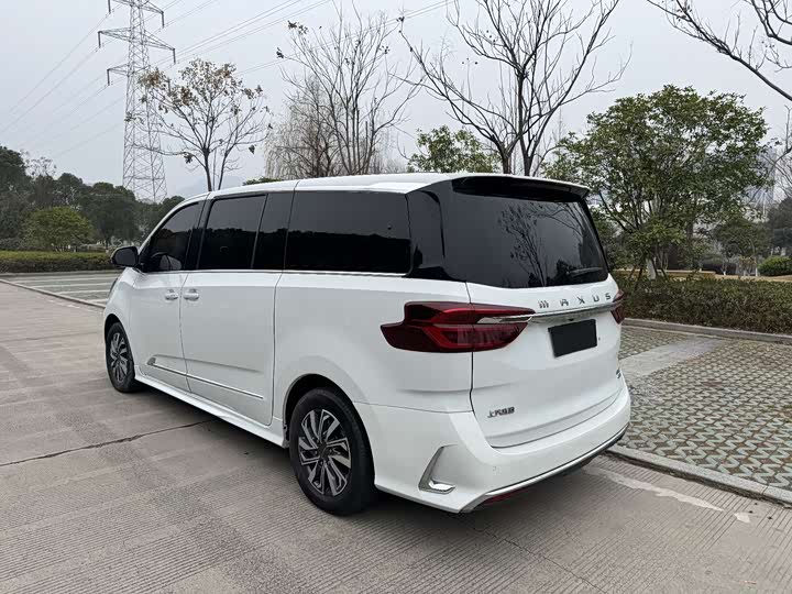 Фото 5 - Maxus G20