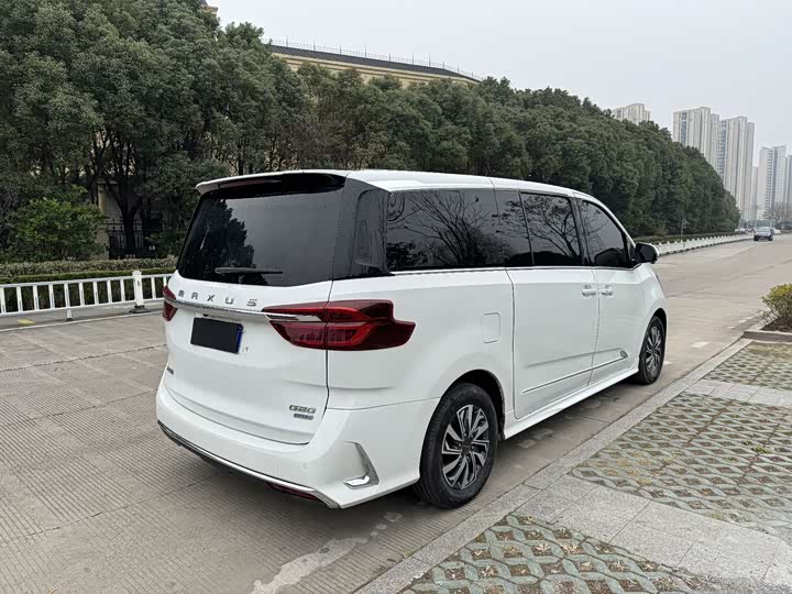 Фото 6 - Maxus G20