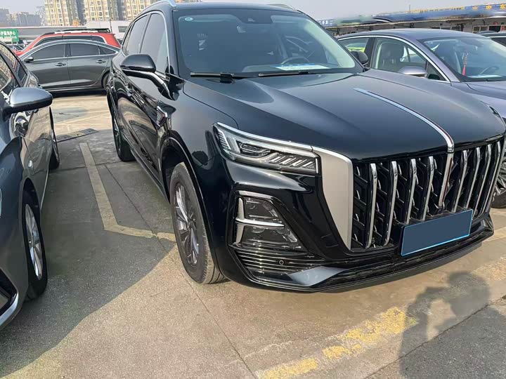 Фото 3 - Hongqi HS5