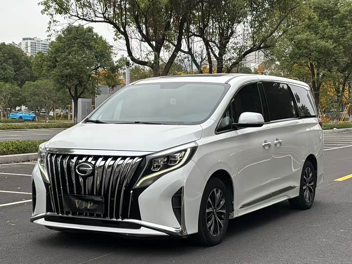 Фото 1 - GAC Trumpchi M8