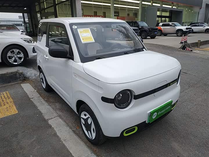 Фото 4 - Geely Galaxy Panda Mini