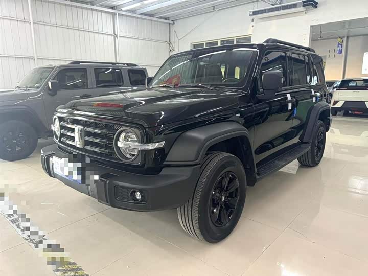 Фото 1 - Tank 300