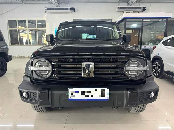 Фото 2 - Tank 300